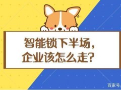 冷思考｜智能鎖行業(yè)的下半場(chǎng)該怎么走？